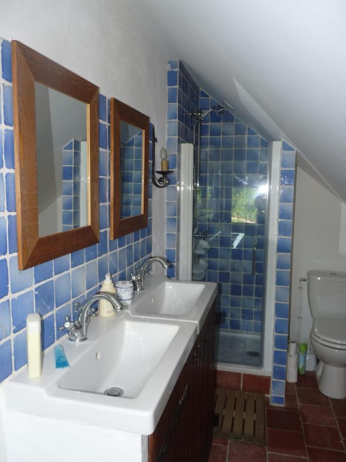 Roeze-sur-Sarthe Manoir De La Beuneche - Location Du Manoir Entier מראה חיצוני תמונה