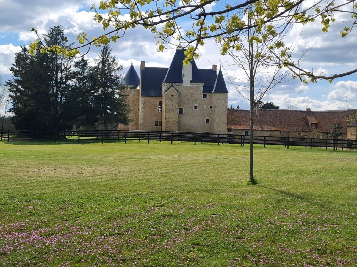 Roeze-sur-Sarthe Manoir De La Beuneche - Location Du Manoir Entier מראה חיצוני תמונה